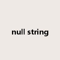null string是什么意思