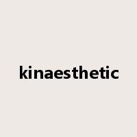 kinaesthetic是什么意思