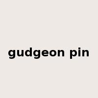 gudgeon pin是什么意思