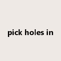 pick holes in是什么意思