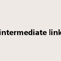 intermediate link是什么意思