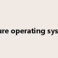 secure operating system是什么意思
