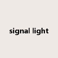 signal light是什么意思