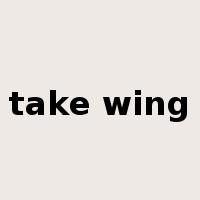 take wing是什么意思