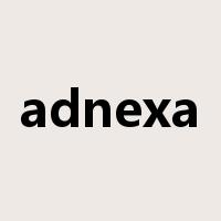 adnexa是什么意思