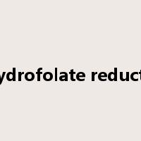 dihydrofolate reductase是什么意思