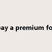 pay a premium for是什么意思