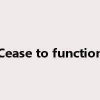 Cease to function是什么意思