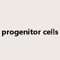 progenitor cells是什么意思