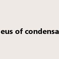 nucleus of condensation是什么意思