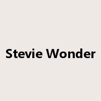 Stevie Wonder是什么意思