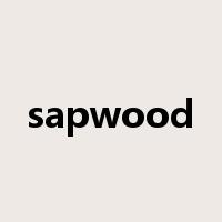 sapwood是什么意思
