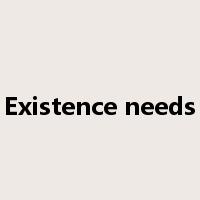 Existence needs是什么意思