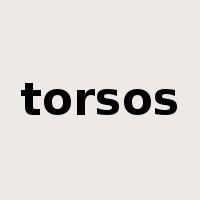 torsos是什么意思