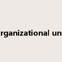 organizational unit是什么意思