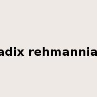 radix rehmanniae是什么意思