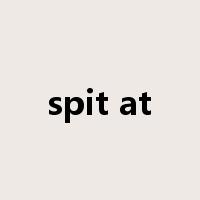 spit at是什么意思