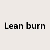 Lean burn是什么意思