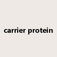 carrier protein是什么意思