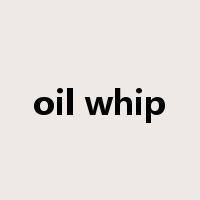 oil whip是什么意思