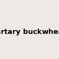 tartary buckwheat是什么意思