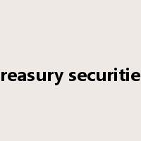 treasury securities是什么意思
