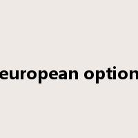 european option是什么意思