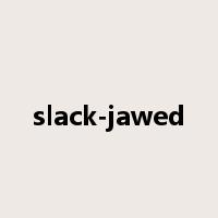 slack-jawed是什么意思
