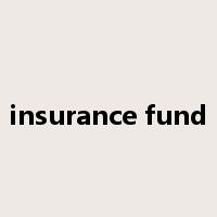 insurance fund是什么意思