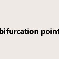 bifurcation point是什么意思