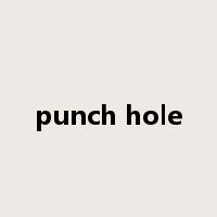 punch hole是什么意思