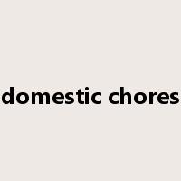 domestic chores是什么意思