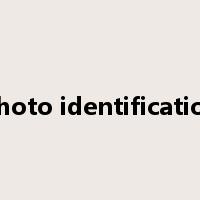 photo identification是什么意思
