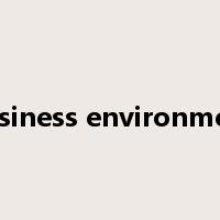 business environment是什么意思