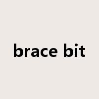 brace bit是什么意思