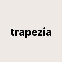 trapezia是什么意思