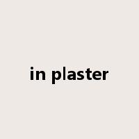 in plaster是什么意思