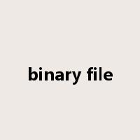 binary file是什么意思