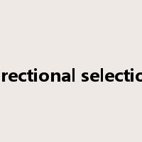 directional selection是什么意思