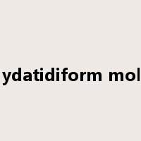 hydatidiform mole是什么意思