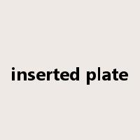 inserted plate是什么意思