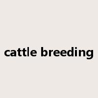 cattle breeding是什么意思