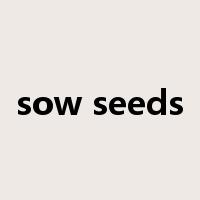 sow seeds是什么意思