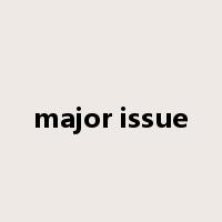 major issue是什么意思