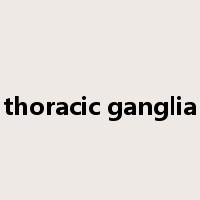 thoracic ganglia是什么意思