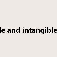 tangible and intangible assets是什么意思