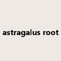 astragalus root是什么意思
