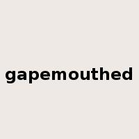 gapemouthed是什么意思