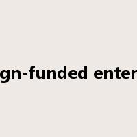 foreign-funded enterprise是什么意思