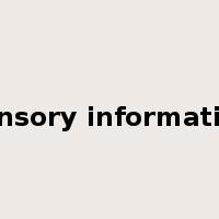 sensory information是什么意思